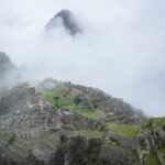 46d64511-0b8f-379f-840b-7e1ae5173c12