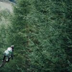 98d4a127-9485-3993-b03c-8d076763b017