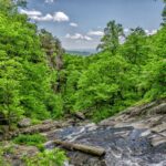 bf3ed2e5-a6bb-3644-a5a0-78989b86ffa1