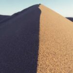 c7a69483-74b9-3c44-ab84-26abdba3d81d