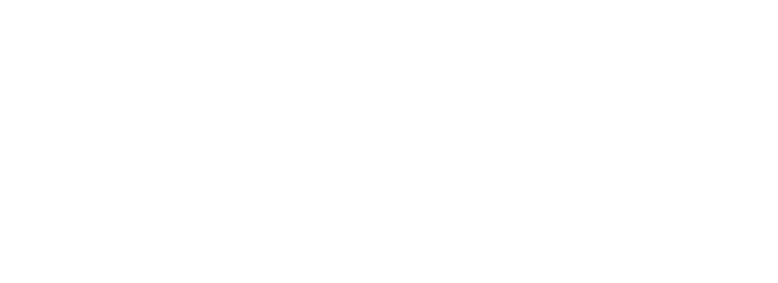 FINN Partners